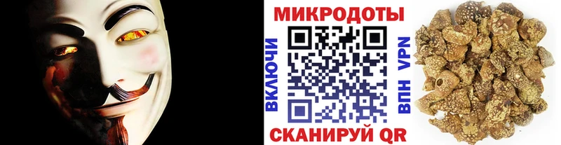 что такое Ленск Галлюциногенные грибы Psilocybine cubensis